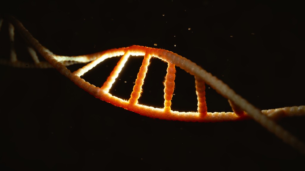 DNA Helix preview image 1